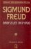 Spisy z let 1917-1920 - Sigmund Freud