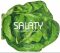 Saláty - 50 snadných receptů - 