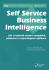 Self Service Business Intelligence - Jan Pour, Miloš Maryška, ...