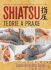 Shiatsu - teorie a praxe - Carola Beresford-Cooke