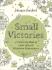 Small Victories: A Colouring Book of Little Wins and Miniature Masterpieces - Johanna Basfordová