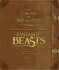 The Case of Beasts: Explore the Film Wizardry of Fantastic Beasts and Where to Find Them - Salisbury Mark