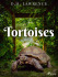 Tortoises - D.H. Lawrence