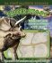 Triceratops - Dennis Schatz