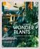 Ultimate Wonder Plants: Your Urban Jungle Interior - Irene Schampaert, ...