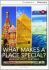 What Makes a Place Special? Moscow, Egypt, Australia Low Intermediate Book with Online Access - David Maule