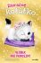 Zázračné koťátko - Večírek pro princezny - Hayley Daze